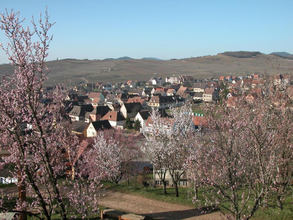 La Maison Du Vignoble Apartment *
